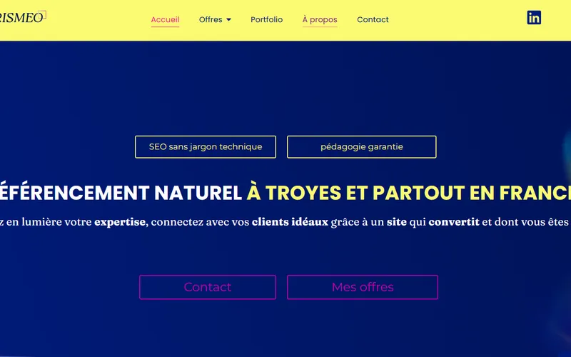 Site vitrine consultant SEO et stratégie digitale à Troyes - Webomax - vue 1
